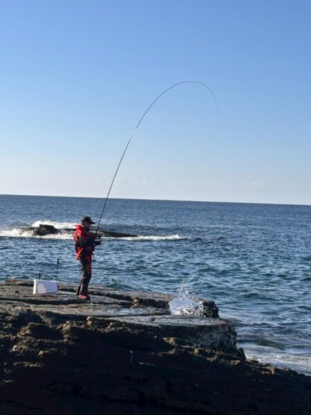 和歌山市江（吉丸渡船）でグレ釣り